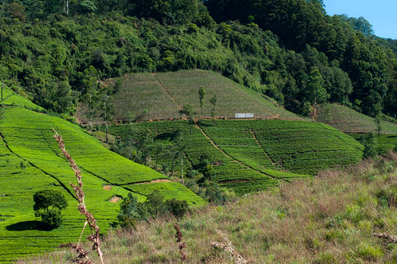 5 days — Sri Lanka Discovery