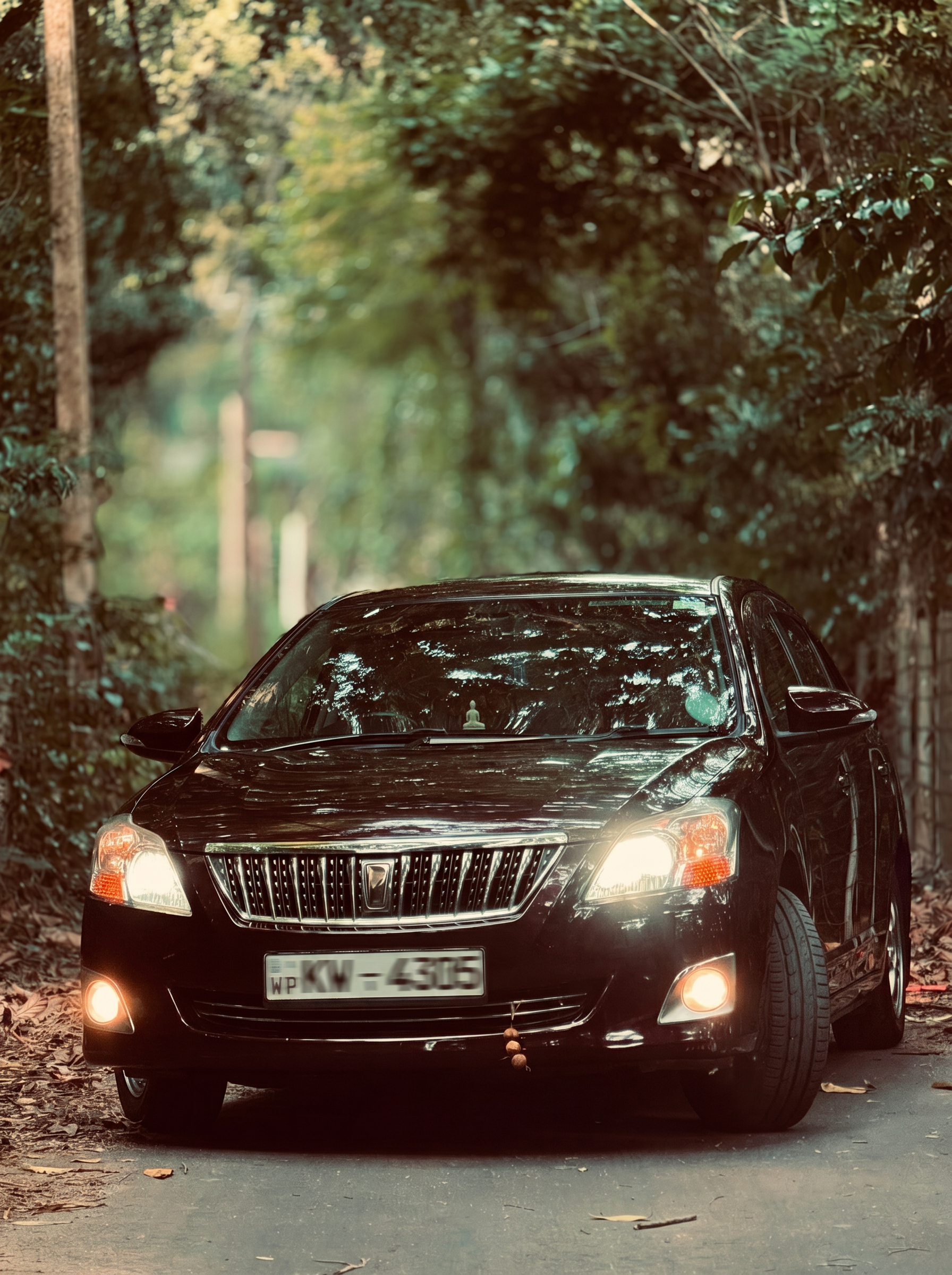 Luxury Sedan